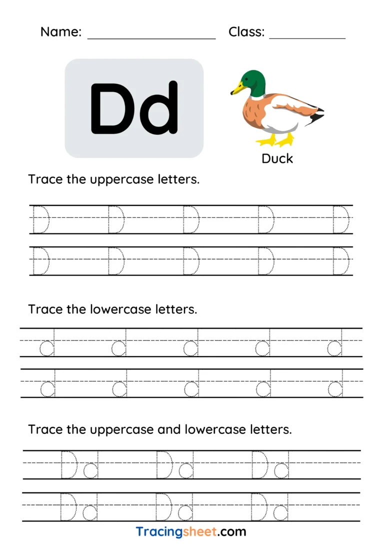Alphabet D
