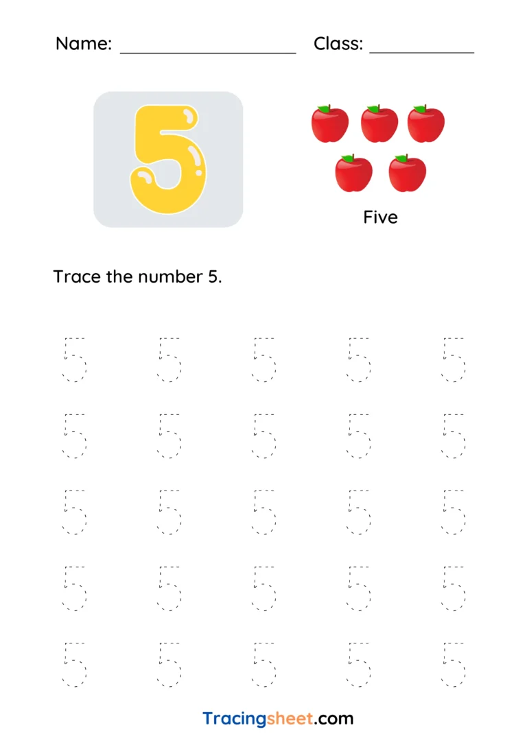 Number 5