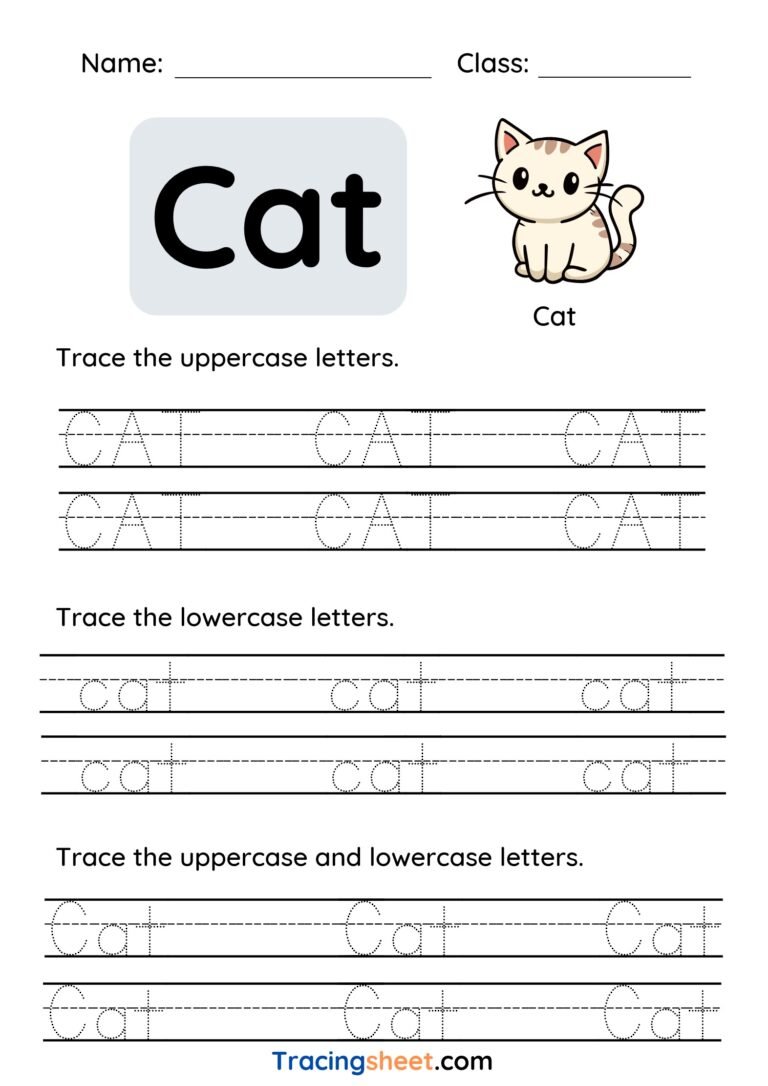 Word - Cat